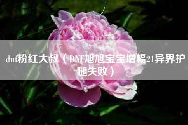 dnf粉红大叔（DNF旭旭宝宝增幅21异界护腿失败）