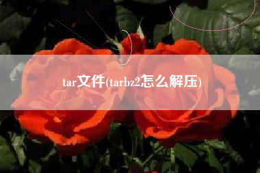 tar文件(tarbz2怎么解压)