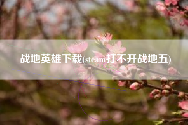 战地英雄下载(steam打不开战地五)