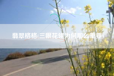 翡翠格格(三眼花翎为何那么重要)