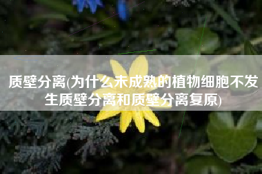 质壁分离(为什么未成熟的植物细胞不发生质壁分离和质壁分离复原)