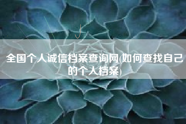 全国个人诚信档案查询网(如何查找自己的个人档案)