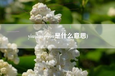 yiu(lmissyou是什么意思)