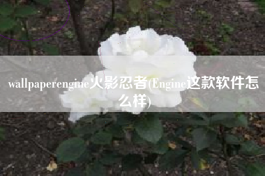 wallpaperengine火影忍者(Engine这款软件怎么样)