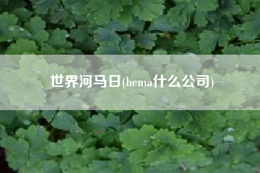 世界河马日(hema什么公司)