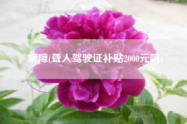 听障(聋人驾驶证补贴2000元吗)