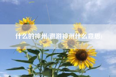 什么的神州(遨游神州什么意思)