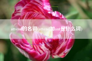 attend的名词(attend加ant是什么词)