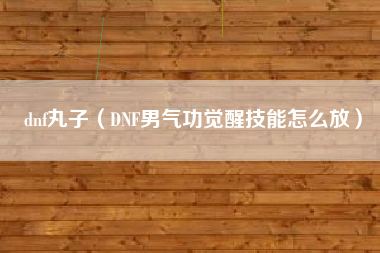 dnf丸子（DNF男气功觉醒技能怎么放）