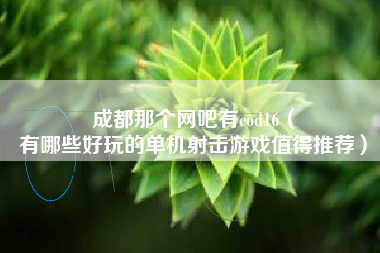 成都那个网吧有cod16（
有哪些好玩的单机射击游戏值得推荐）