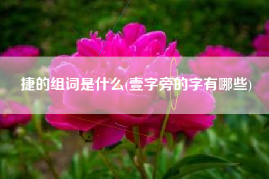 捷的组词是什么(壹字旁的字有哪些)