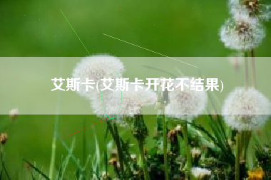 艾斯卡(艾斯卡开花不结果)