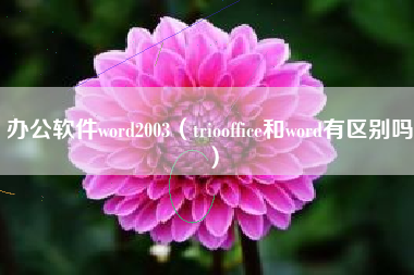 办公软件word2003（triooffice和word有区别吗）