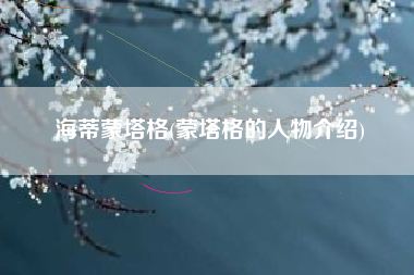 海蒂蒙塔格(蒙塔格的人物介绍)