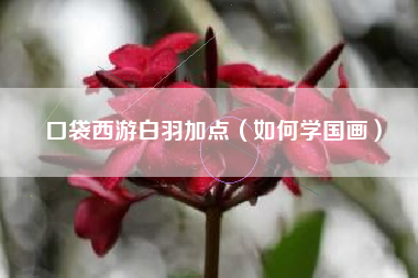 口袋西游白羽加点（如何学国画）