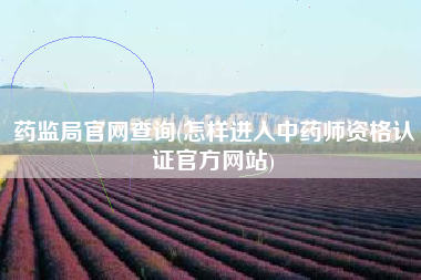 药监局官网查询(怎样进入中药师资格认证官方网站)