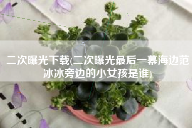 二次曝光下载(二次曝光最后一幕海边范冰冰旁边的小女孩是谁)