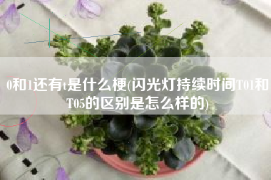 0和1还有t是什么梗(闪光灯持续时间T01和T05的区别是怎么样的)