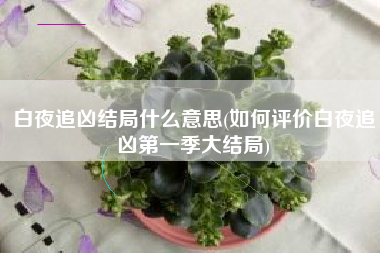 白夜追凶结局什么意思(如何评价白夜追凶第一季大结局)