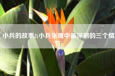 小兵的故事2(小兵张嘎中最深刻的三个情节)