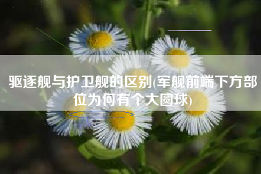 驱逐舰与护卫舰的区别(军舰前端下方部位为何有个大圆球)