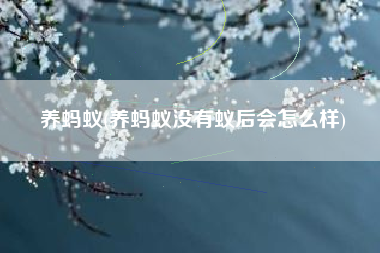 养蚂蚁(养蚂蚁没有蚁后会怎么样)