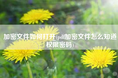 加密文件如何打开(pdf加密文件怎么知道权限密码)