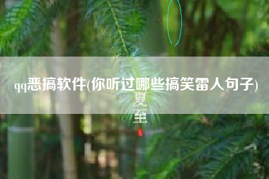 qq恶搞软件(你听过哪些搞笑雷人句子)