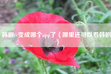 韩剧tv变成哪个app了（哪里还可以看韩剧）