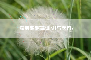 藏族踢踏舞(堆谢与囊玛)