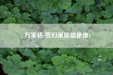 万家铭(燕归巢原唱是谁)