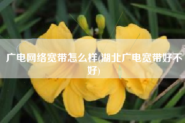 广电网络宽带怎么样(湖北广电宽带好不好)