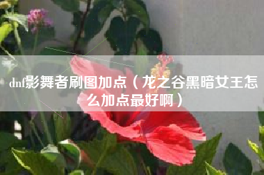 dnf影舞者刷图加点（龙之谷黑暗女王怎么加点最好啊）