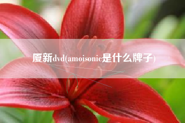 厦新dvd(amoisonic是什么牌子)