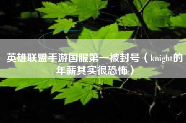 英雄联盟手游国服第一被封号（knight的年薪其实很恐怖）