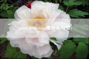 opera next(swim是什么句型)