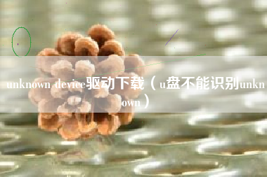 unknown device驱动下载（u盘不能识别unknown）