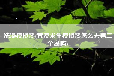 洗澡模拟器(荒漠求生模拟器怎么去第二个岛屿)