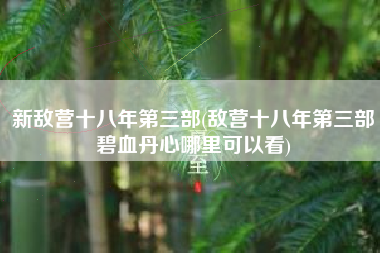 新敌营十八年第三部(敌营十八年第三部碧血丹心哪里可以看)