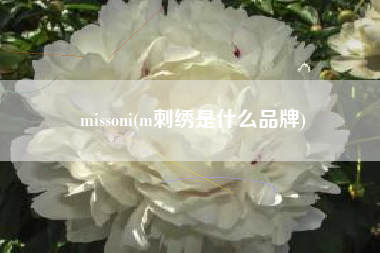 missoni(m刺绣是什么品牌)