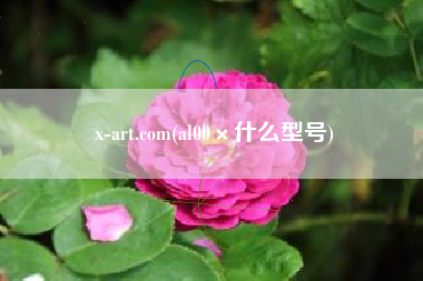 x-art.com(al00×什么型号)