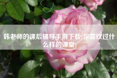 韩老师的课后辅导手游下载(你喜欢过什么样的课堂)