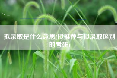 拟录取是什么意思(拟推荐与拟录取区别的考研)