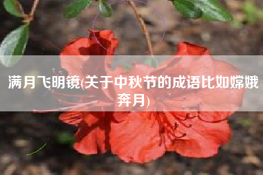 满月飞明镜(关于中秋节的成语比如嫦娥奔月)