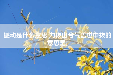 撼动是什么意思(力拔山兮气盖世中拔的意思是)