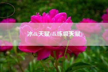 冰dk天赋(dk练级天赋)