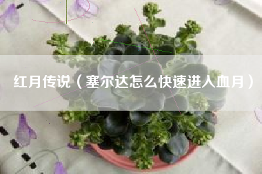 红月传说（塞尔达怎么快速进入血月）