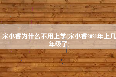 宋小睿为什么不用上学(宋小睿2021年上几年级了)