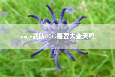 snake战队(EDG是要大变天吗)