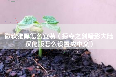 微软雅黑怎么安装（掠夺之剑暗影大陆汉化版怎么设置成中文）